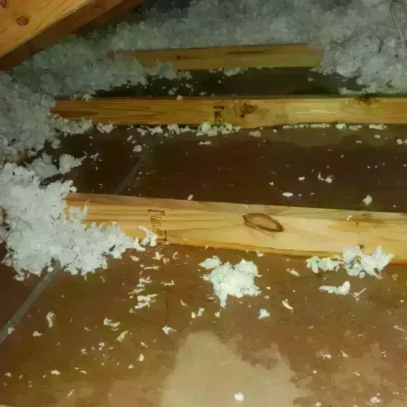 Attic Water Damage in Hacienda Heights, CA